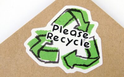 Recyklace v praxi: kam s použitou papírovou taškou doma i ve firmě