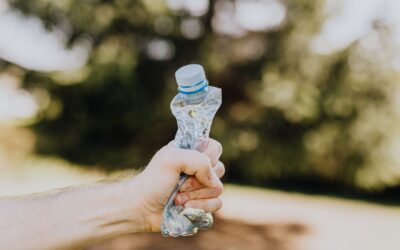 Jak omezit plasty v domácnosti krok za krokem