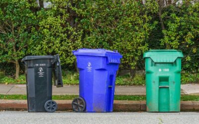 Co nepatří do popelnice? Kompletní seznam zakázaného odpadu