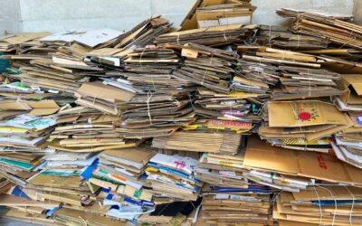 Recyklace papírových tašek: Jak na správné třídění