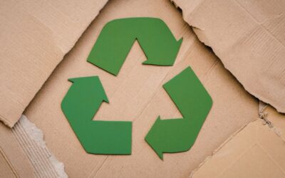 Recyklace papíru: Na co se zpracovává starý papír